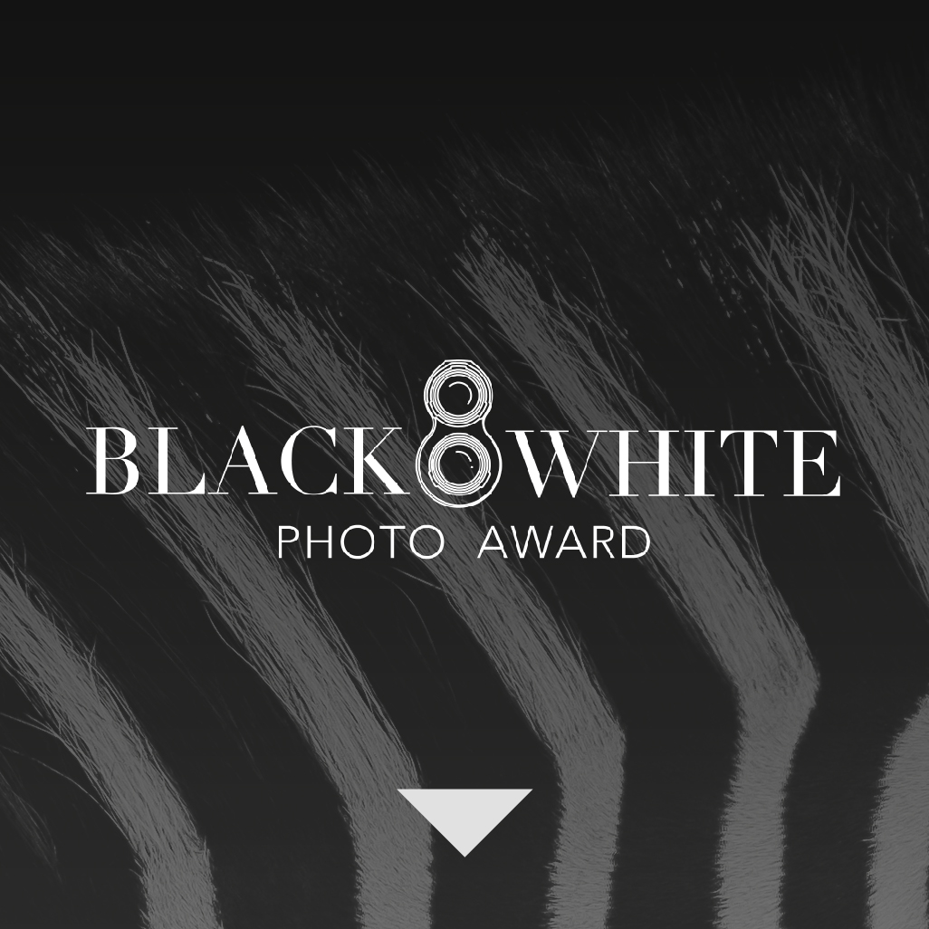 Black and White Photo Awards 2024